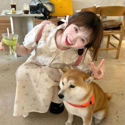 狸猫书生